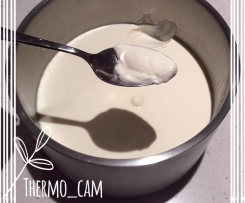 Thick Greek Yoghurt