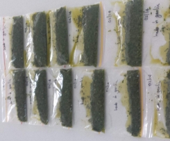 GARLIC AND HERB PASTE