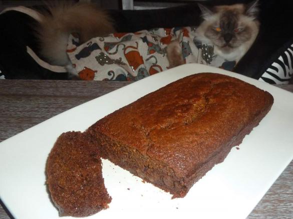 Thermo-cat Jemima's Carrot, Date & Sultana Loaf