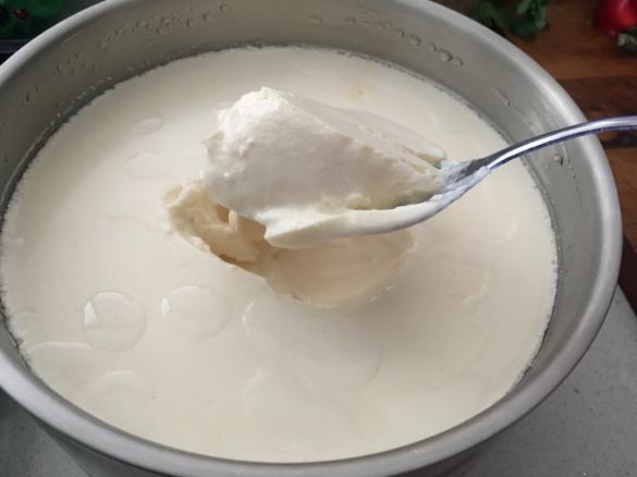 Variation Double Batch of Yoghurt TM5 Auto Setting