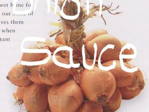onion sauce