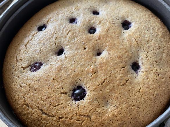 Gluten free berry yoghurt cake