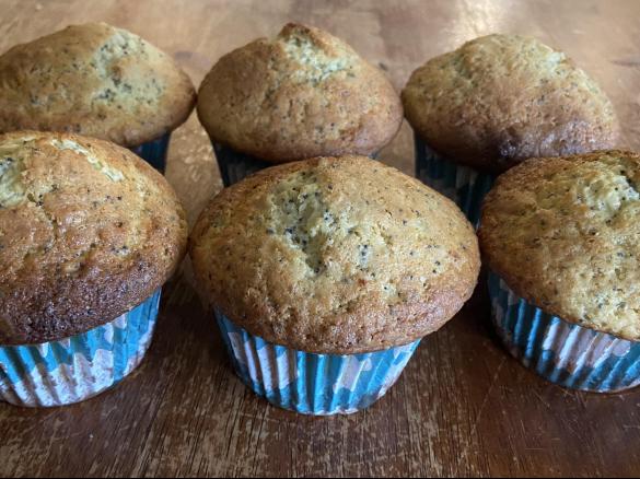 Orange and Poppyseed muffins