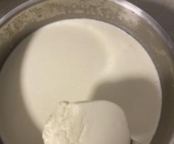 Creamy Vanilla Yoghurt