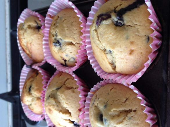Blueberry Muffins