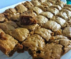 Failsafe Anzac Slice