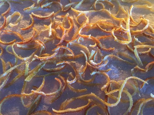 Candied Citrus Peel 