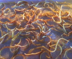 Candied Citrus Peel 