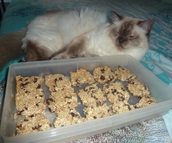 Thermo-cat Jemima's Healthy Treat