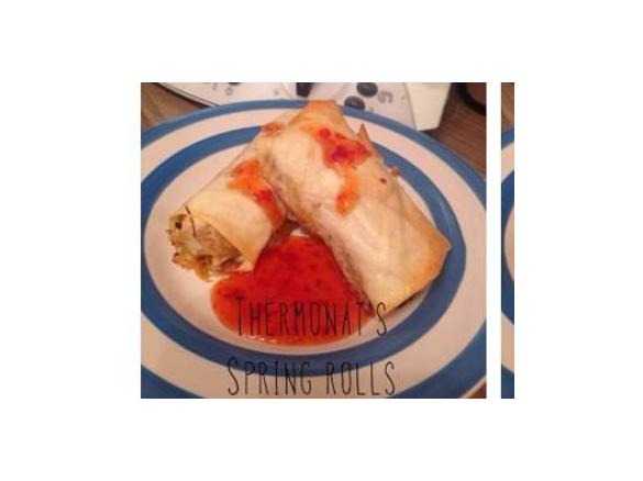 Thermonat's spring rolls